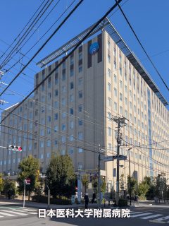 日本医科大学付属病院 /1.6km /23分