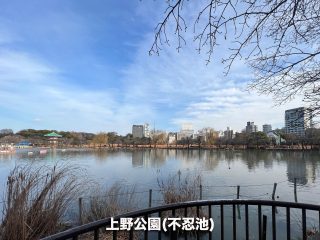 上野公園(不忍池) /2.1km /29分